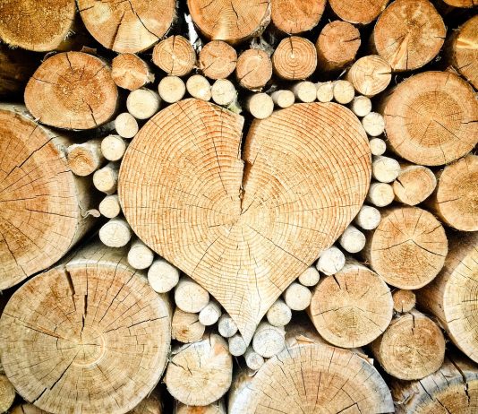 La Produzione di Macchine per la Lavorazione del Legno: Qualità e Innovazione Lavorazione del Legno